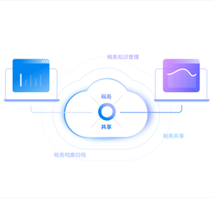 税务共享