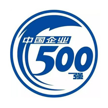 中国500强